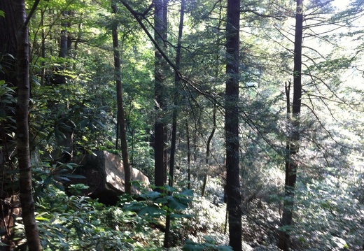 Clifty Wilderness